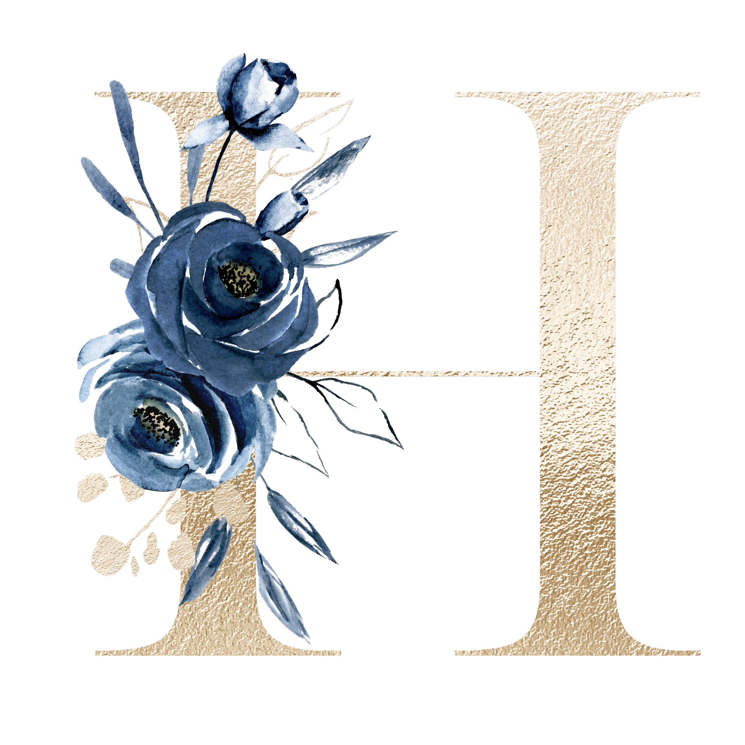 h