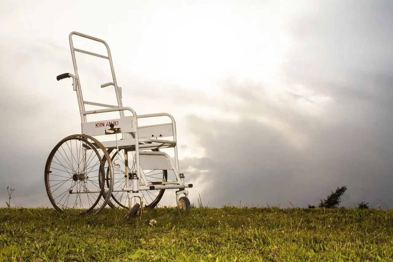 wheelchair (1)